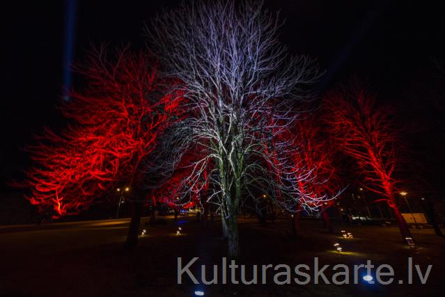 Dobeles brīvības aplis
